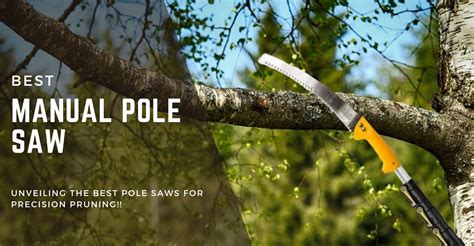 Best Manual Pole Saw In 2024 (Reviewed) | GearTrench