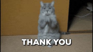 Thank You GIFs - Find & Share on GIPHY