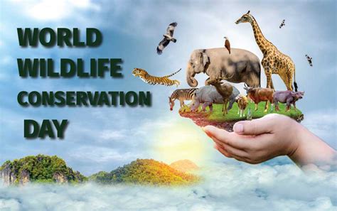 Wildlife Conservation Day