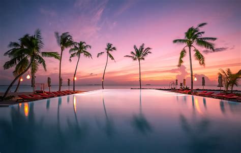 Wallpaper sunset, tropics, palm trees, the ocean, pool, Maldives, The ...