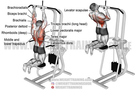 Machine-assisted close neutral-grip pull-up exercise instructions and video