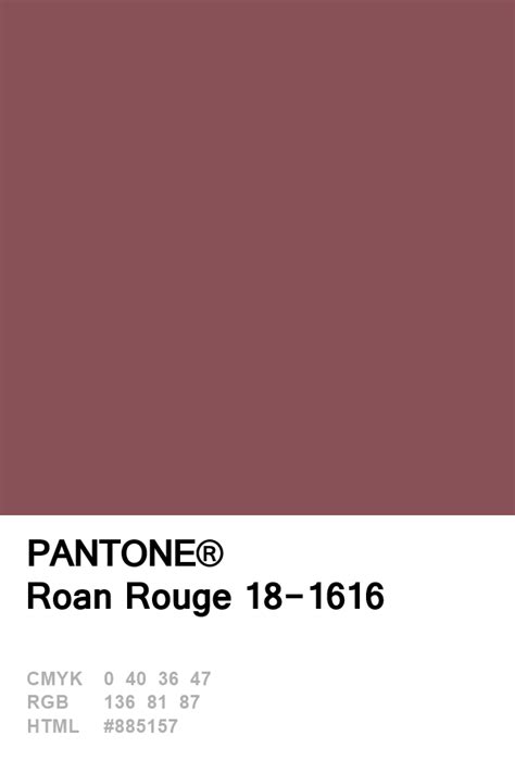 Pantone Roan Rouge 18-1616 Colour of The Day 07 January | Pantone color ...