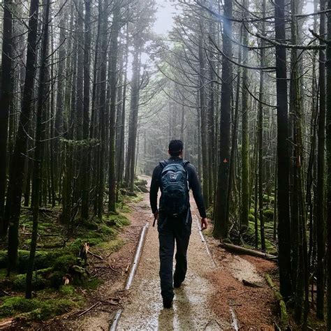 Mount Mitchell State Park in North Carolina - Park Review and Photos