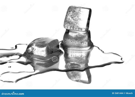 The melting ice cubes stock photo. Image of melt, isolated - 2681444