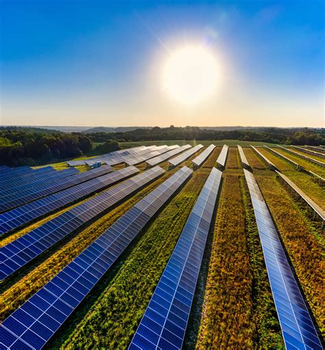 Fazenda solar: saiba sobre o cultivo de energia limpa! | BULBE ENERGIA