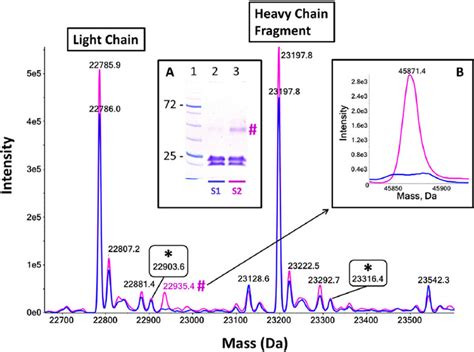 Mass spectral analysis of iodoacetamide (IAM) alkylated, selectively ...