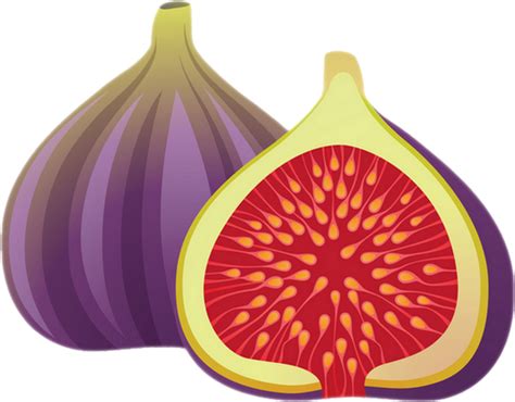 Figues png : tube fruit - Figs png : clipart - Feigen png