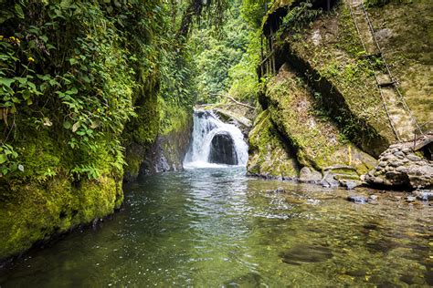 Photos Nature Nambillo river Mindo Moss Ecuador Waterfalls Rock