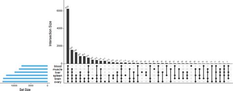 UpSet plot depicting the number of unique and shared transcripts with... | Download Scientific ...