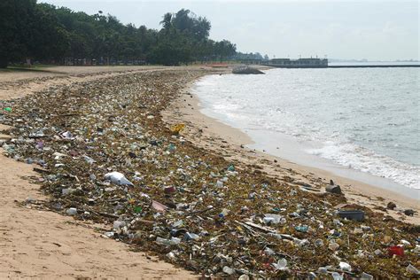 East Coast Park beaches lined with piles of trash brought in by Southwest monsoon - Mothership ...