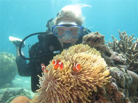 Tioman Dive Centre (Pulau Tioman) - 2020 All You Need to Know BEFORE You Go (with Photos ...