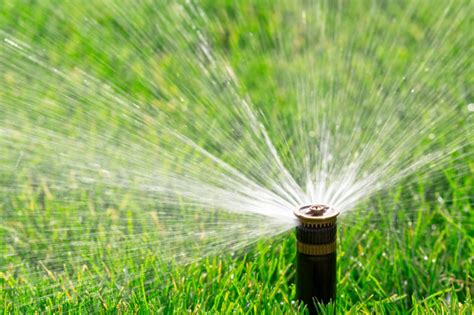 Best Time to Water Grass (and 12 other lawn watering tips)