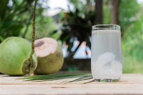 Coconut Water - What You Need to Know