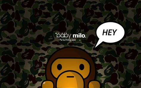 Milo Wallpapers - Wallpaper Cave