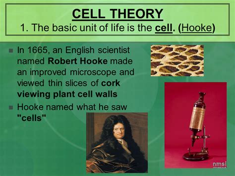 Cell Theory