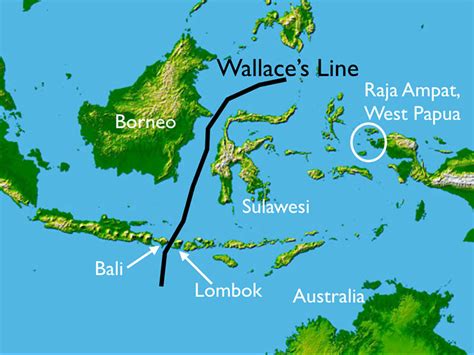 Our Darwin Day 2017: In the Footsteps of Wallace