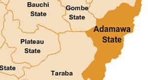 Food security: German government empowers peasant farmers in Adamawa - Daily Trust