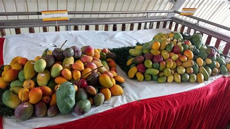 International Mango Festival 2024 - Dates, History, Major Attractions