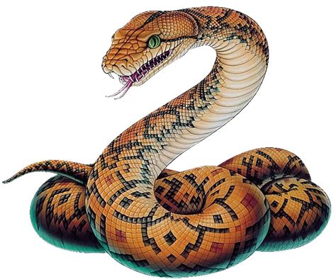 Imagen PNG de serpiente