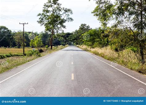 Rural Roads Landscape,tree Along the Way Stock Image - Image of landscapetree, cracks: 104773485