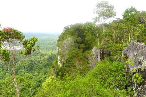 On friends and hiking in Sarawak’s National Parks | wandering thoughts ...