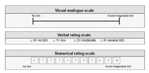 Spotlight H: Likert and Rating Scales - Effortmark