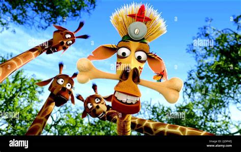 MELMAN, MADAGASCAR: ESCAPE 2 AFRICA, 2008 Stock Photo - Alamy