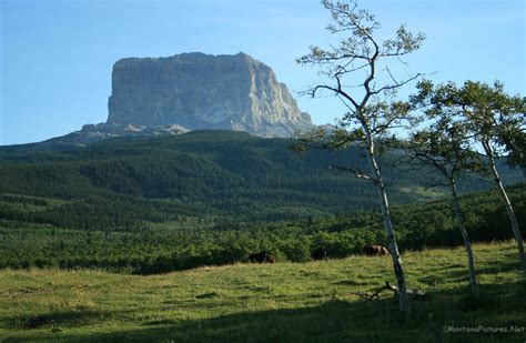 Glacier National Park Picture Tours – Chief Mountain