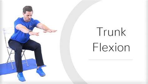 Trunk Flexion - (Wheelchair & Seated Series)