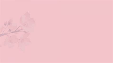 วอลเปเปอร์ : Sakura blossom, ความเรียบง่าย, ดอกไม้, พื้นหลังสีชมพู 1920x1080 - OBrNo1 - 1782489 ...