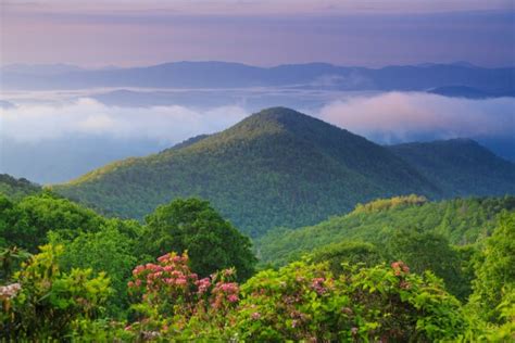 Mount Mitchell State Park Reviews | U.S. News Travel