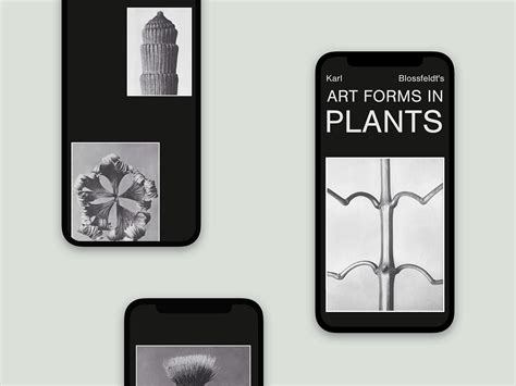 Art Forms in Plants by M. Rodzik on Dribbble