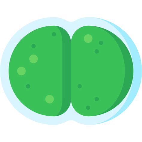 Synechocystis cyanobacteria Special Flat icon