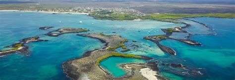 Best Beaches In Santa Cruz Galapagos - Get More Anythink's