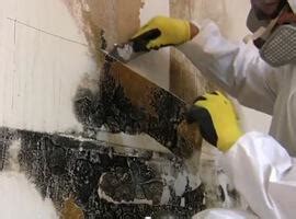 How To Remove Moldy Drywall Safely | Guaranteed Mold Prevention