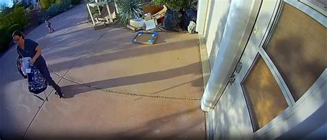 Coyote injures 2 toddlers in separate attacks in Scottsdale: Officials - Good Morning America