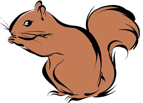 Squirrel With Acorn Drawing - ClipArt Best