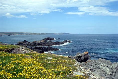 Newfoundland and Labrador Tourism and Travel: Best of Newfoundland and Labrador - TripAdvisor