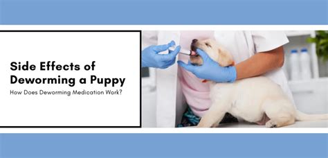 Side Effects of Deworming a Puppy | Causes and Precautions