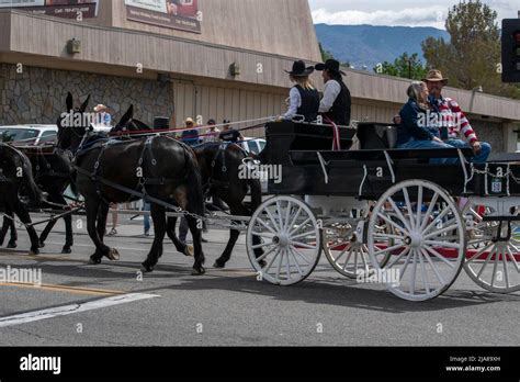 The Mule Days Parade is a staple of the Mule Days celebration in Bishop ...