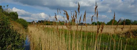 The Countryside Charity for Cambridgeshire & Peterborough - CPRE ...