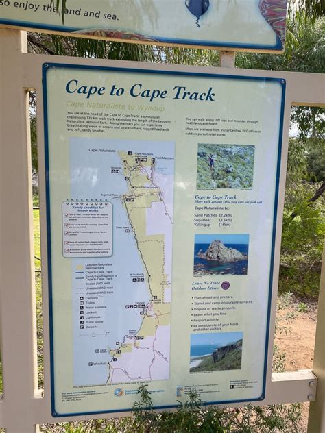 Cape to Cape Walk Track: Ultimate Guide