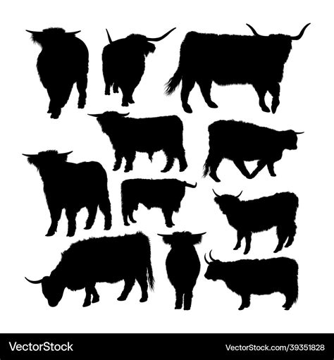 Highland cow animal silhouettes Royalty Free Vector Image