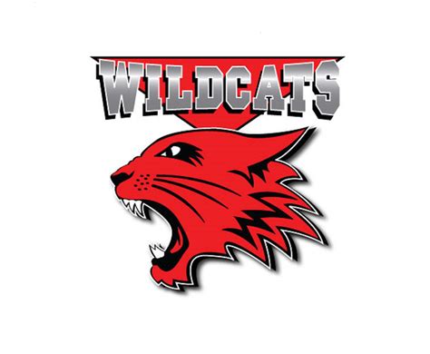 High School Musical 4 Wants You to be a Wildcat! – TV Insider