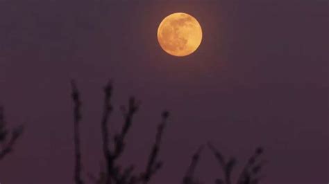 Pink Moon 2023: Full moon of spring appears in the sky; check beautiful photos – India TV