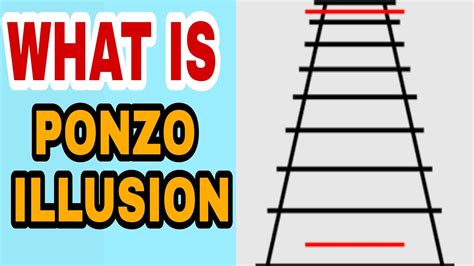 The Ponzo Illusion || What is the Ponzo Illusion || Optical Illusion ...