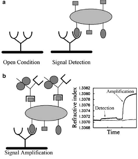 a Direct detection of analyte. b Subsequent verification and... | Download Scientific Diagram