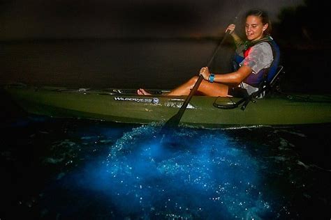 Tripadvisor | Biolumineszenz-Kajaktour zur Verfügung gestellt von A Day Away Kayak Tours ...