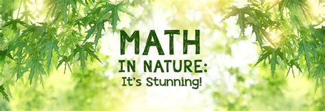 Math in Nature: It's Stunning! - The Good and the Beautiful