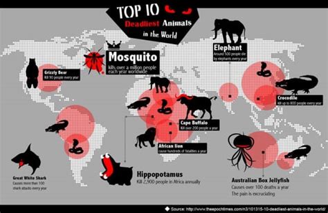 10 Most Dangerous Animals